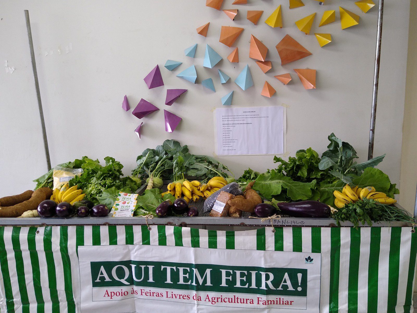 Read more about the article Segurança alimentar e nutricional é debatida em conferência regional em Juiz de Fora