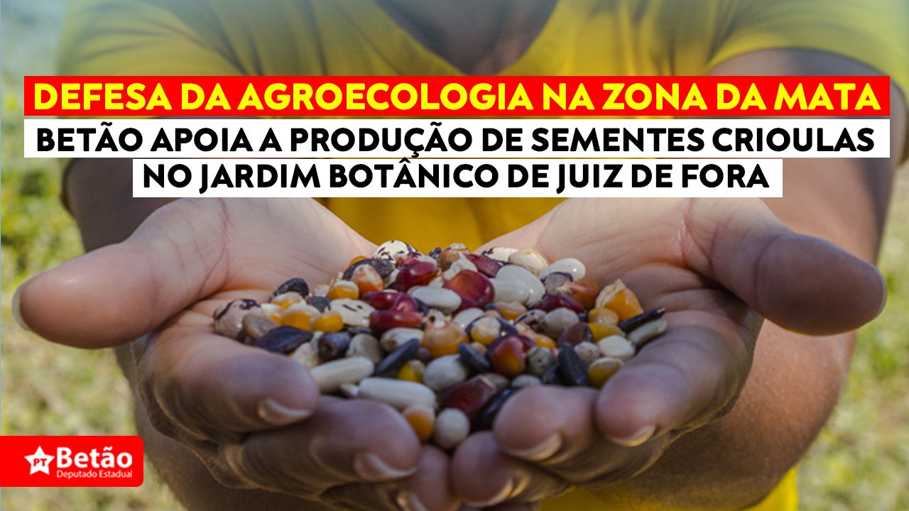 You are currently viewing Betão soma esforços ao trabalho desenvolvido pelo Jardim Botânico de Juiz de Fora na conservação e pesquisa de sementes crioulas na Zona da Mata